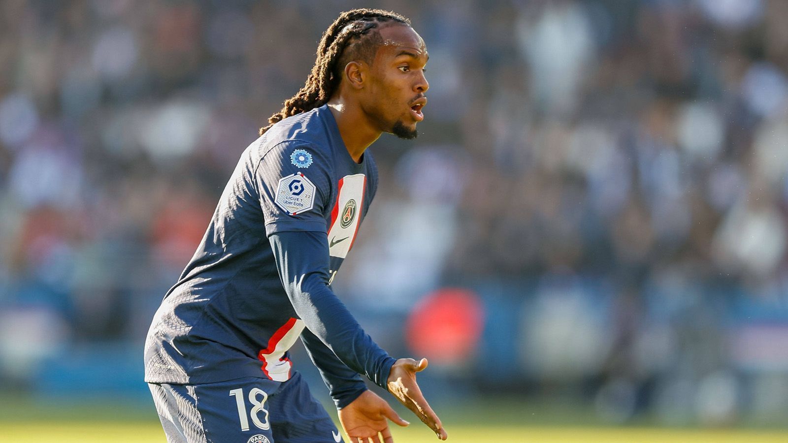 
                <strong>Renato Sanches (Paris St. Germain)</strong><br>
                Doch seitdem ist viel Zeit vergangen. Sanches überzeugte in der Ligue 1 und steht seit 2022 bei Paris St. Germain unter Vertrag. Dort kommt der Europameister von 2016 aber nur als Joker zum Einsatz, weshalb fraglich ist, ob er wirklich in Bellinghams Fußstapfen treten könnte. Aufgrund seines laufenden Vertrags bis 2027 wäre Sanches sicher auch nicht allzu günstig. Sein Marktwert beläuft sich derzeit laut "transfermarkt.de" auf 25 Millionen Euro.
              