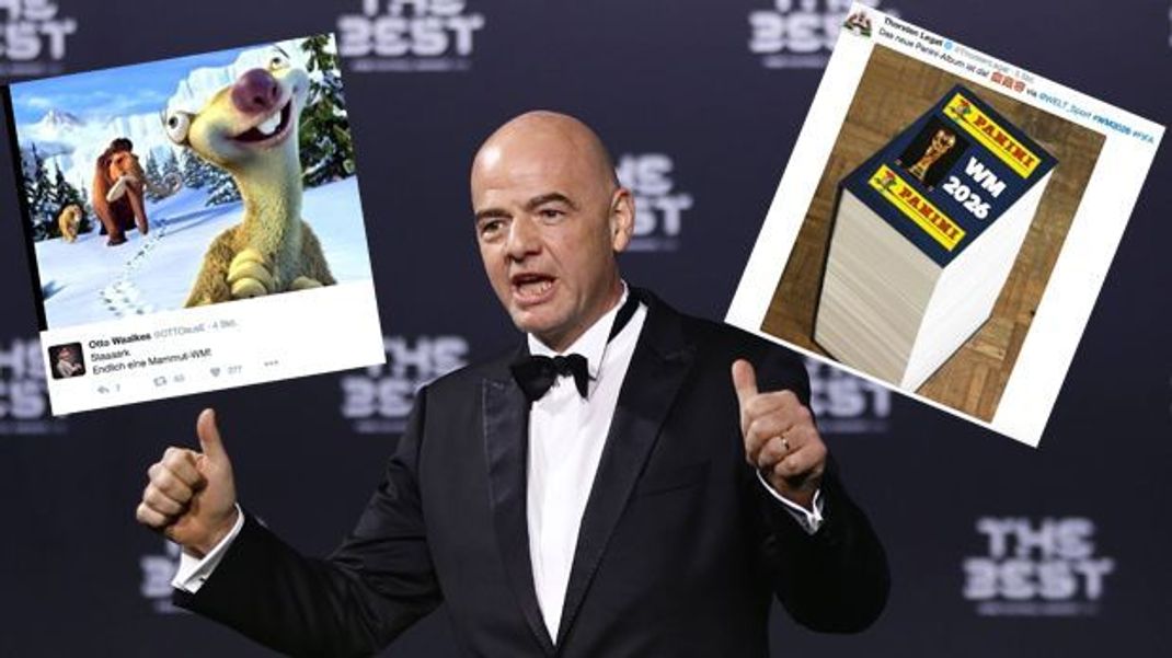 Article Image Media