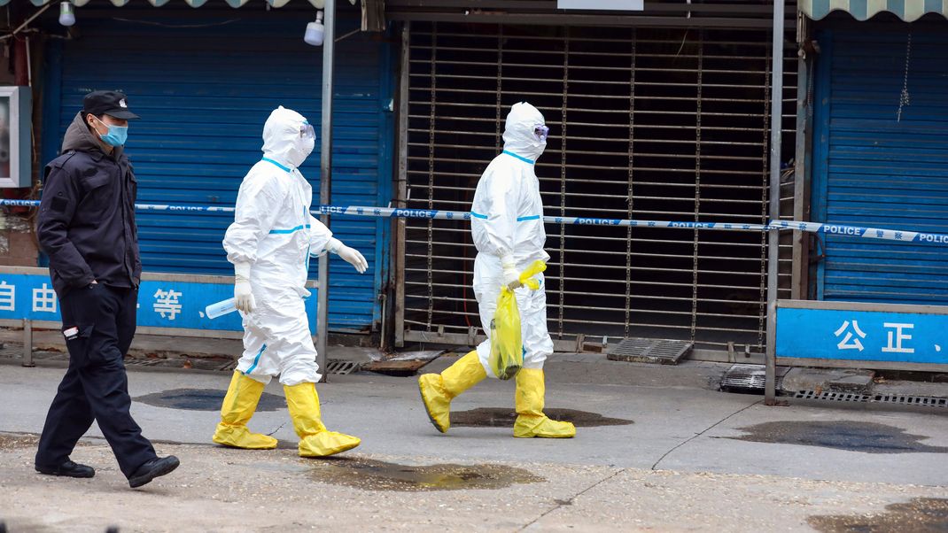 Expert:innen vermuten, dass das Corona-Virus auf dem Wuhan-Markt in China von dort gehandelten Wildtieren übertragen wurde. (Archivbild)