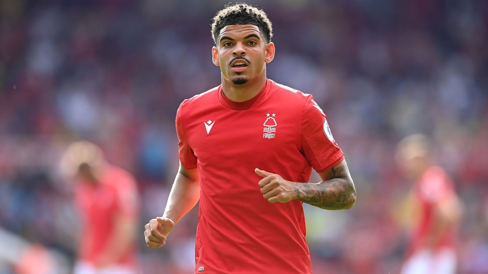 
                <strong>Morgan Gibbs-White</strong><br>
                Mit einer kolportierten Ablösesumme von fast 30 Millionen Euro ist Morgan Gibbs-White der teuerste Nottingham-Neuzugang im Sommer 2022. Den offensiven Mittelfeldspieler konnte Nottingham vom Ligarivalen Wolverhampton abwerben. Der 22-Jährige spielte bereits in der Vorsaison in der Championship auf Leihbasis für Nottingham und hatte mit elf Toren und neun Vorlagen einen beachtlichen Anteil am letztlichen Aufstieg. Nun verpflichtete der Klub ihn fest, Gibbs-White unterschrieb bis 2027. 
              