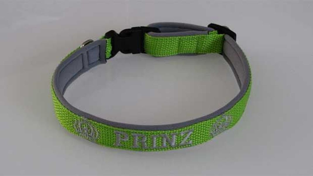 Bei unserem Voting zu Top Dog Model hast du die Chance auf ein Halsband mit dem eingraviertem Namen deines Lieblings