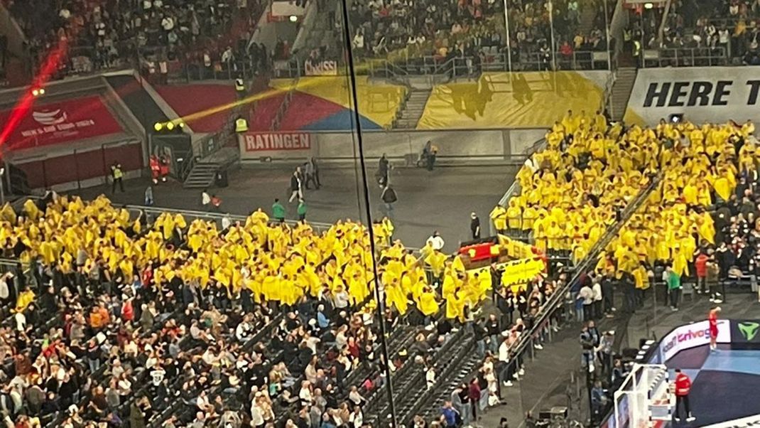 Die Lidl-Fankurve beim Weltrekordspiel in Düsseldorf.