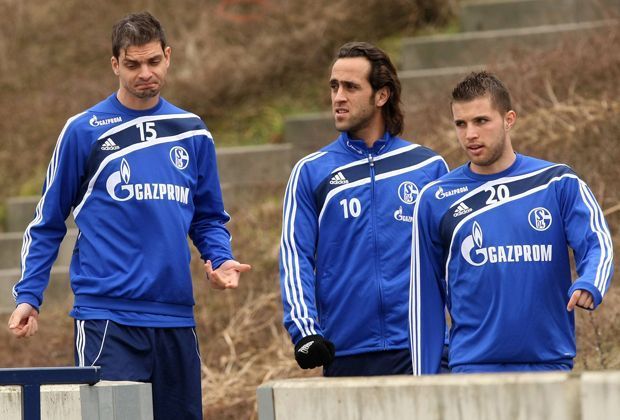 
                <strong>Januar 2011</strong><br>
                Der FC Schalke 04 verpflichtet Ali Karimi.
              