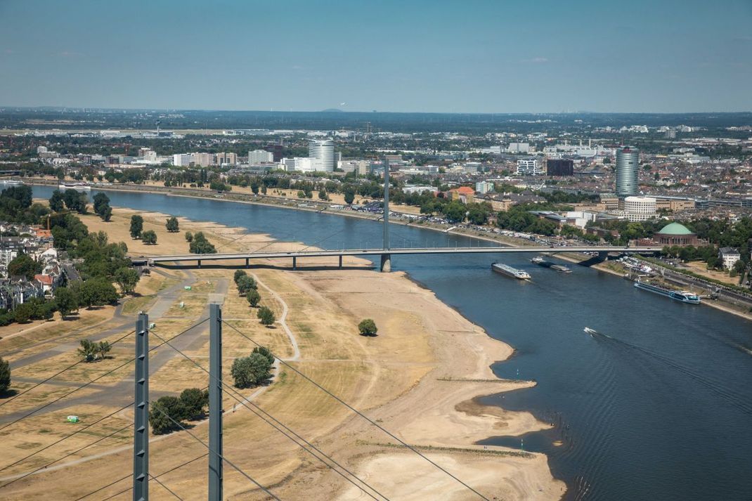 Die Flüsse in Europa - wie hier der Rhein bei Düsseldorf - führten im Sommer 2022 deutlich weniger Wasser als üblich.
