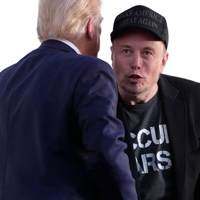 Wahlkampf in den USA - Trump und Musk machen gemeinsame Sache