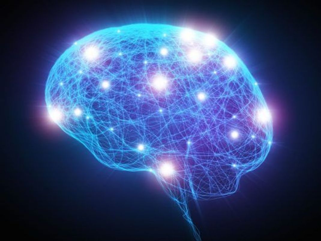 Das Gehirn besteht aus zahlreichen Nervenzellen (Neuronen), die Netzwerke bilden.