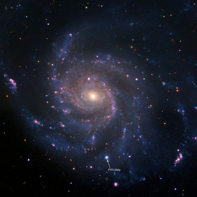 Vergleichsbild der Supernova SN 2023ixf