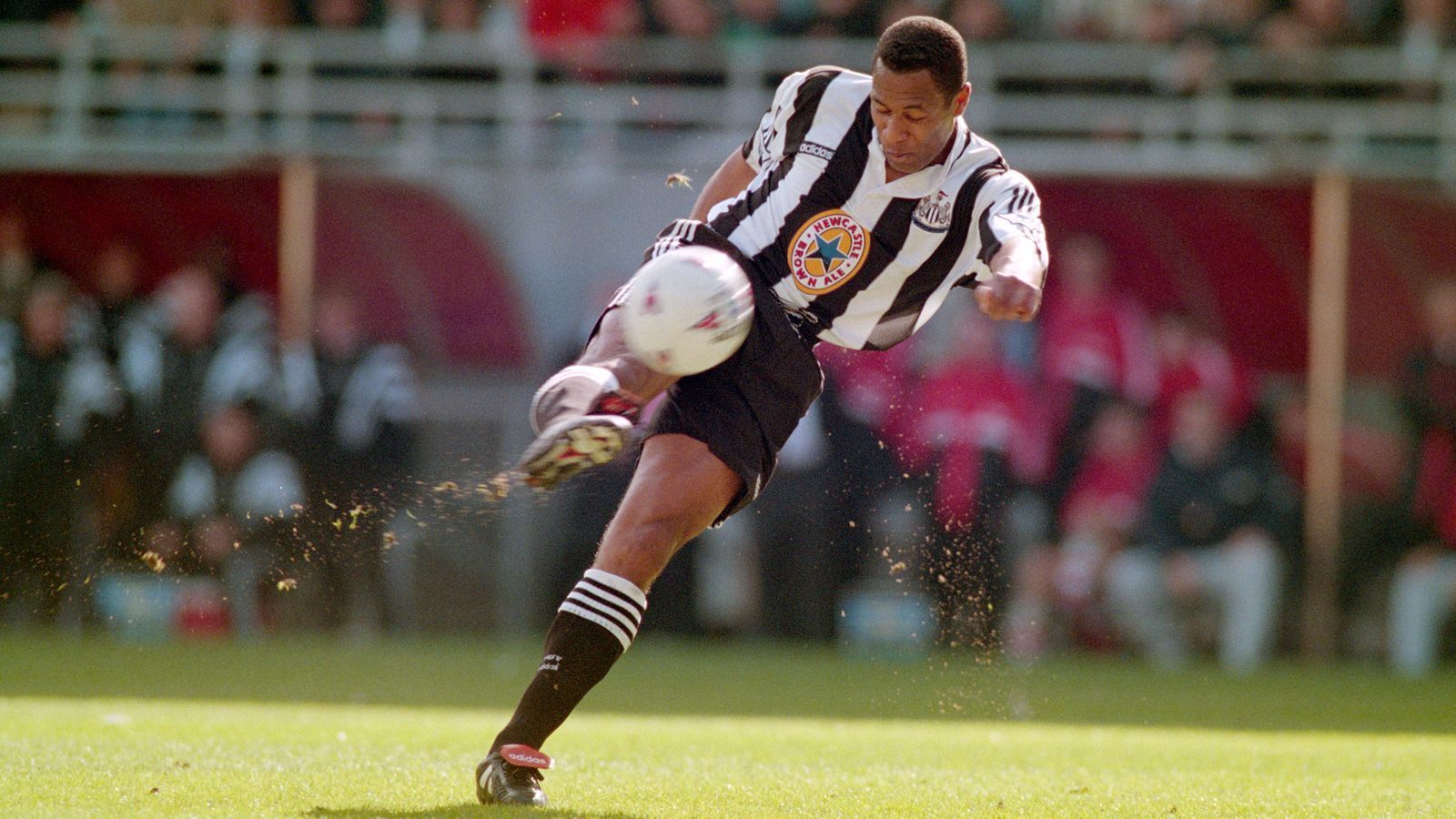 
                <strong>Platz 24 - Les Ferdinand (Newcastle United)</strong><br>
                &#x2022; Ablösesumme: 109 Millionen Euro<br>&#x2022; Wechsel von den Queens Park Rangers zu Newcastle United (1995)<br>
              