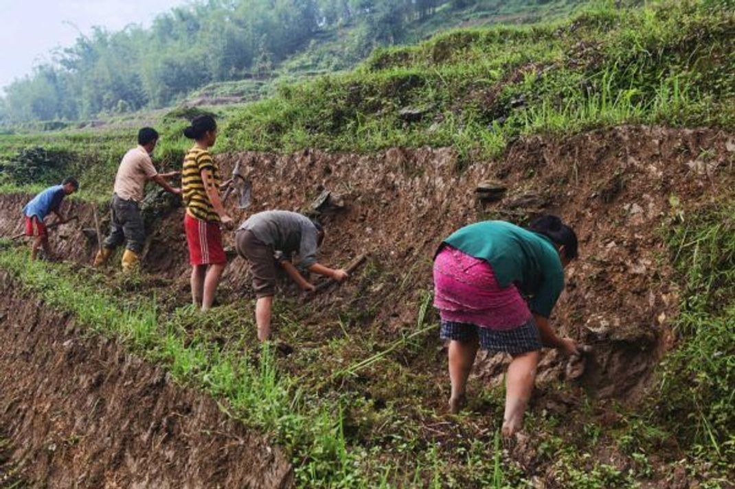 Schwere Handarbeit: Jugendliche bereiten ein Reisfeld für die Aussaat vor.