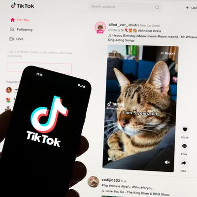 Das TikTok-Logo ist auf einem Mobiltelefon vor einem Computerbildschirm zu sehen, der den TikTok-Startbildschirm anzeigt.