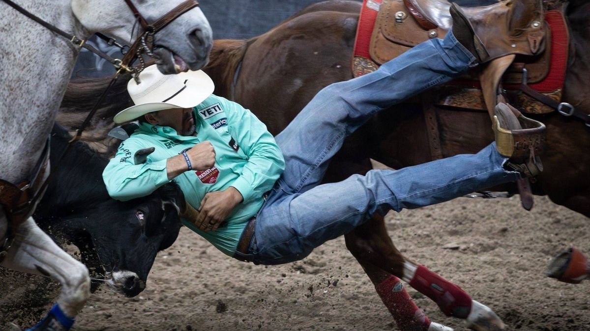 Autsch, aber es hat Tradition! Beim Rodeo in Texas dreht sich alles um Pferde, Rinder und Cowboys. Die größten Rodeo-Shows finden jährlich im Februar und März statt.