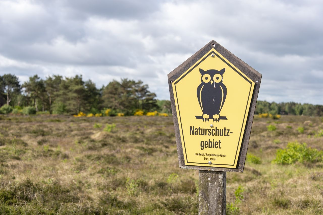 Ebenfalls auf eine Eule setzen Brandenburg, Mecklenburg-Vorpommern, Sachsen, Sachsen-Anhalt, Schleswig-Holstein und Thüringen – aber in einem fünfeckigen Schild.