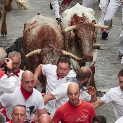 Männer treiben Kampfstiere durch die Gassen von Pamplona in Nordspanien.