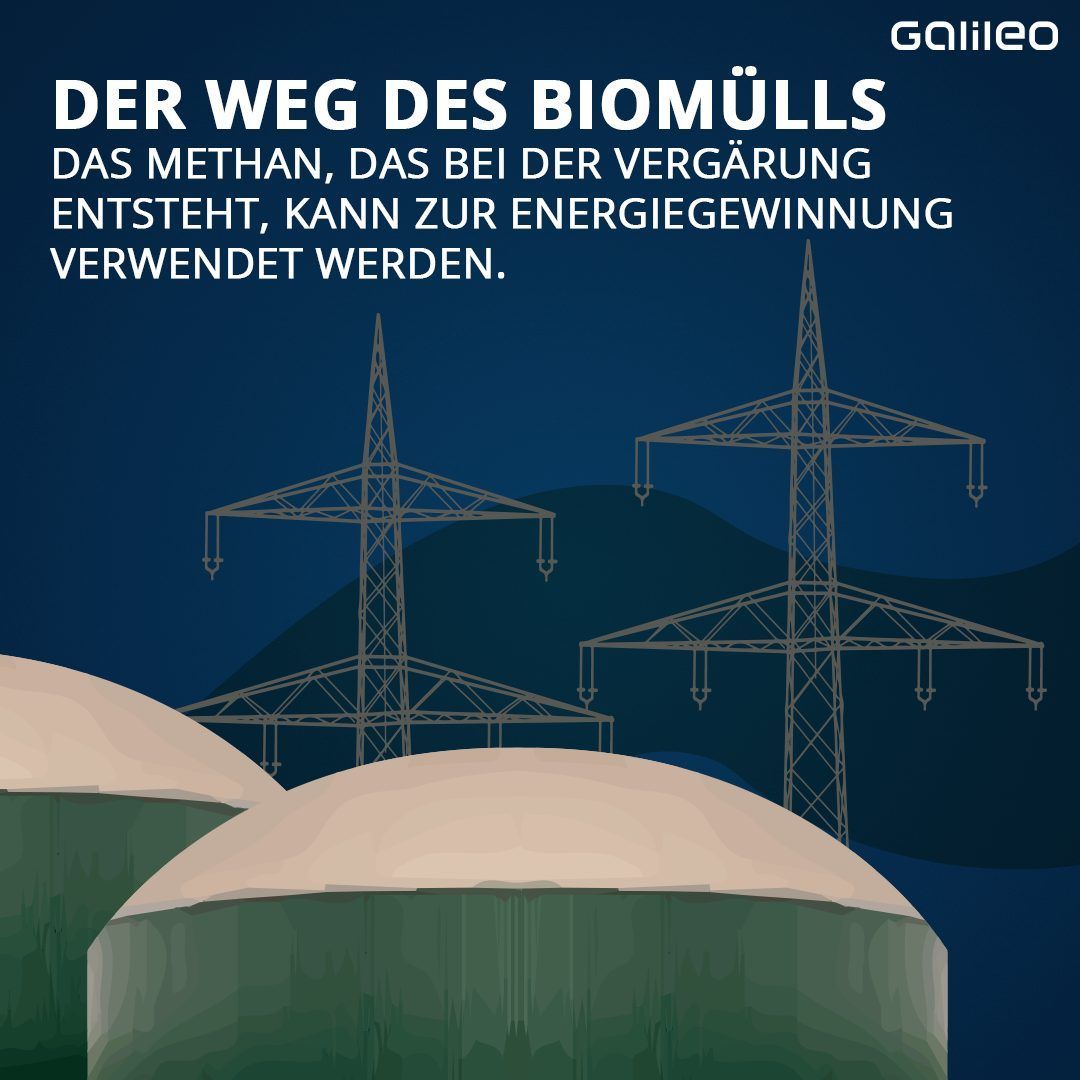 Der Weg von Biomüll. Was passiert damit