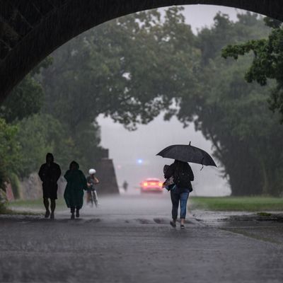 Regen in Dresden