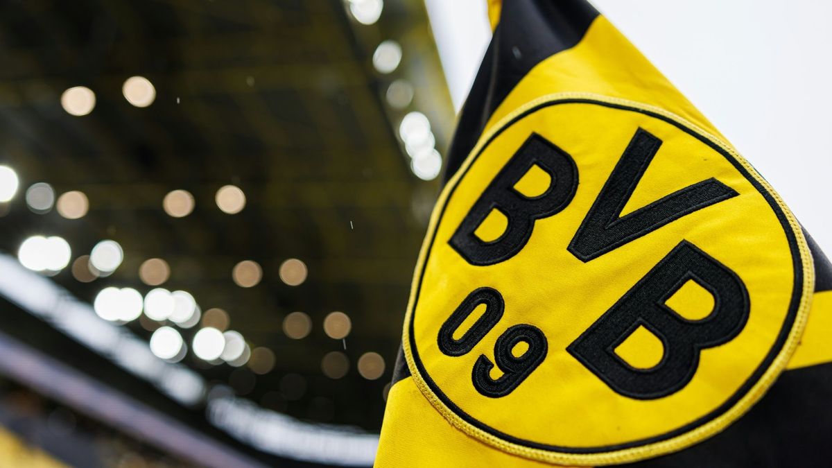Der BVB geht gegen AfD-Wahlwerbung vor