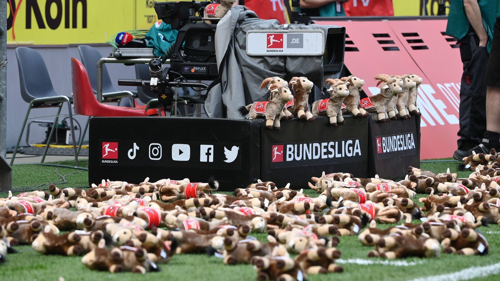 
                <strong>Bewegender Moment vor dem Anstoß</strong><br>
                Neben der Choreografie sorgte eine weitere Aktion der Kölner für einen bewegenden Moment, bevor gegen Köln der Ball rollte. 235 Plüschtiere von Maskottchen Hennes lagen am Spielfeldrand. Doch warum? Diese Plüschtiere symbolisieren die 235 Kinder, die bislang im Krieg in der Ukraine getötet wurden. Über das Stadion-TV werden zudem die Namen der getöteten Kinder eingeblendet. 
              