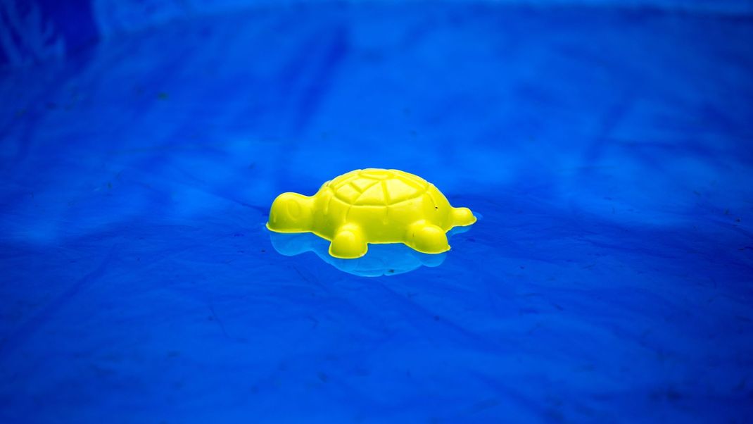 Swimmingpool