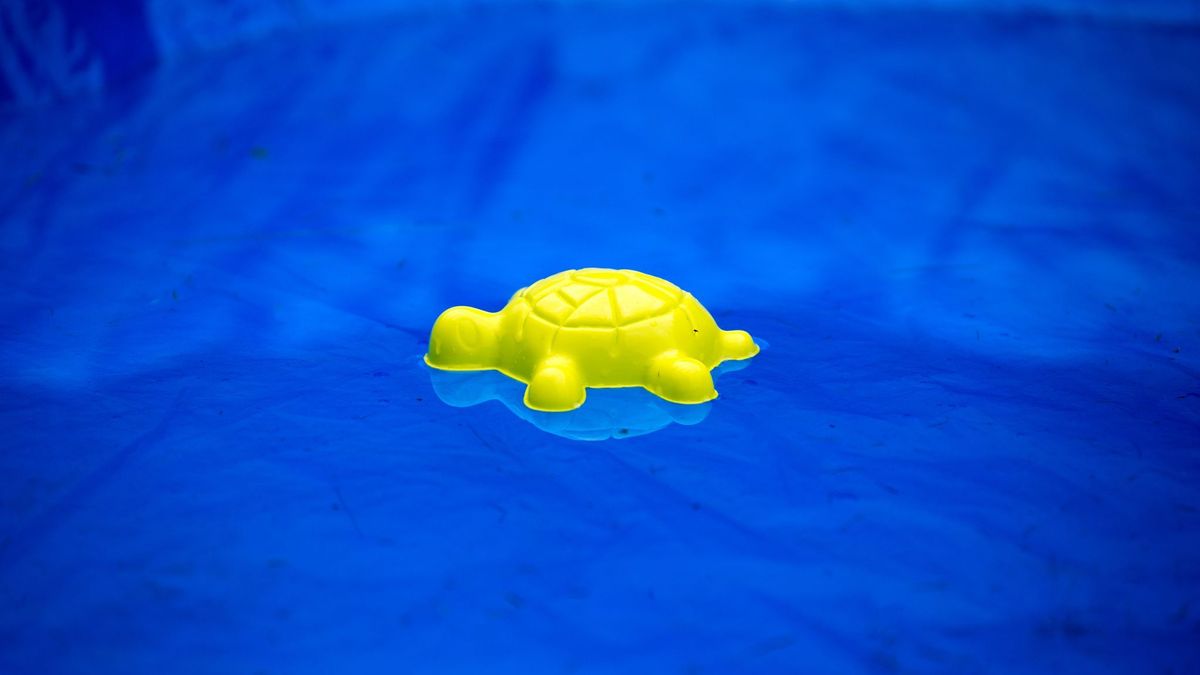 Swimmingpool