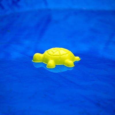 Swimmingpool