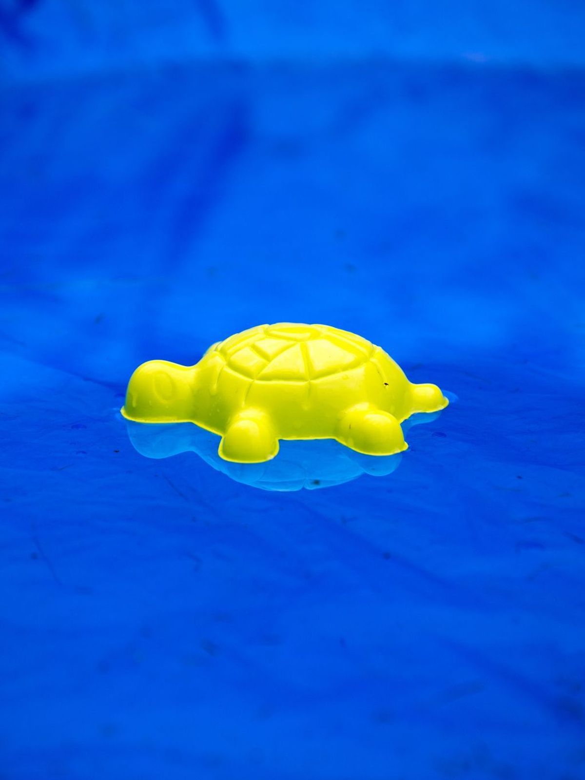 Swimmingpool