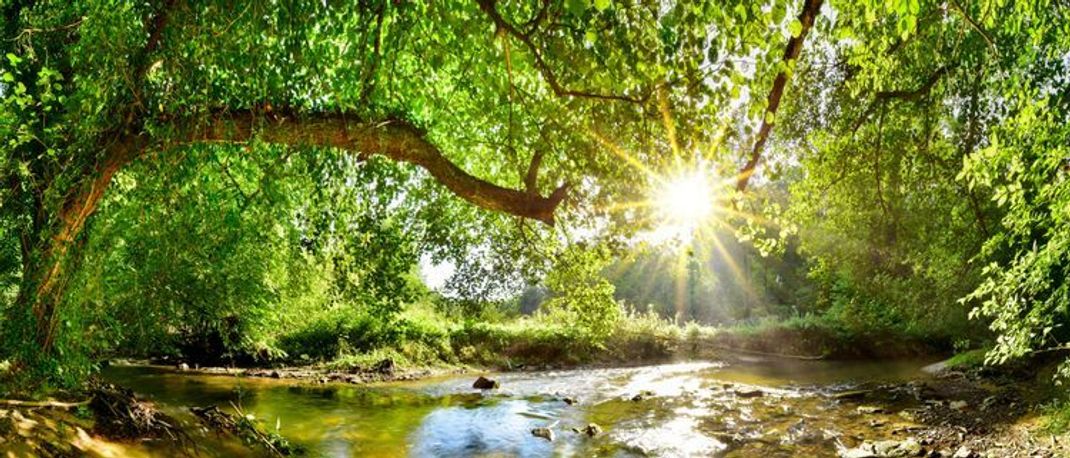 Sanfter Tourismus – Bereicherung für Mensch und Natur