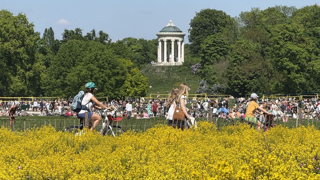 Hunderte sonnenhungrige besiedeln die große Wiese im Englischen Garten unterhalb des Monopteros.