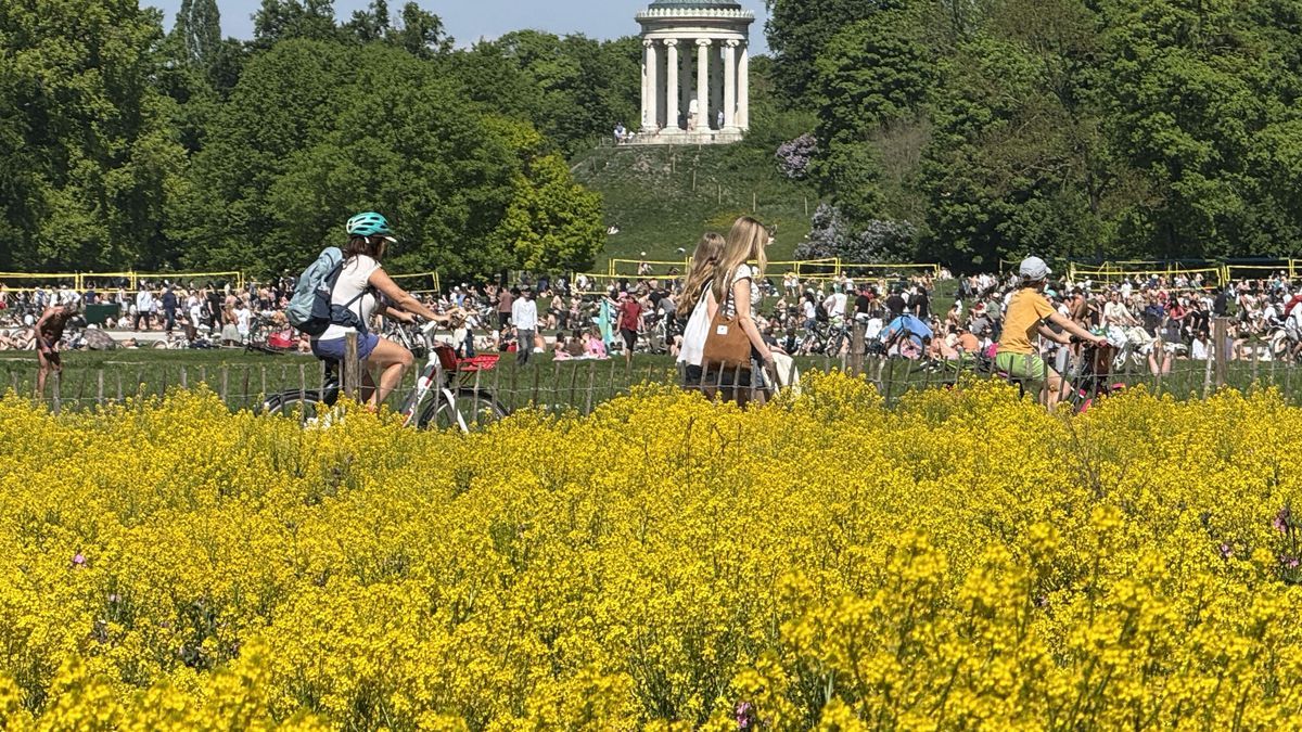 Hunderte sonnenhungrige besiedeln die große Wiese im Englischen Garten unterhalb des Monopteros.