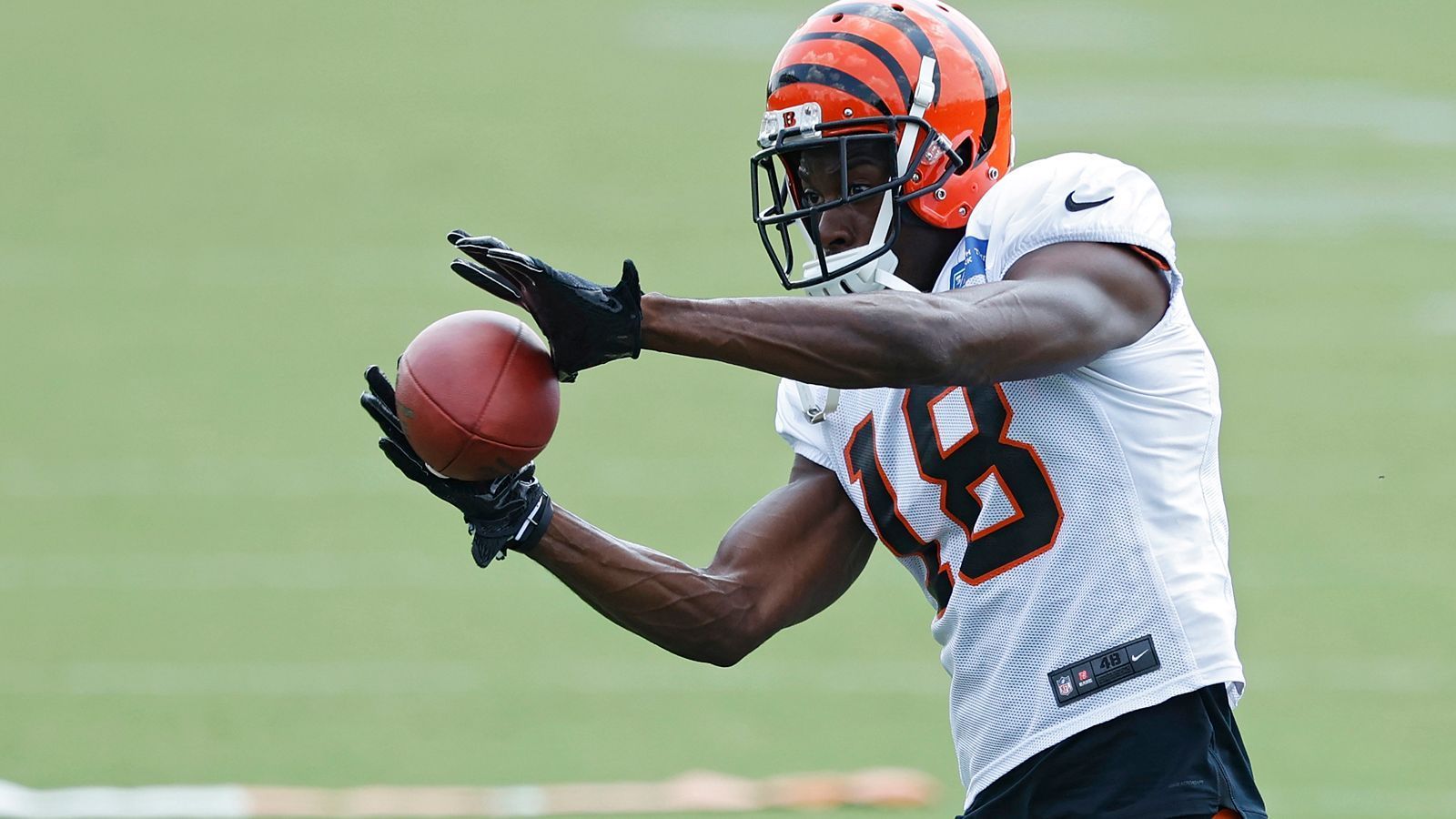 
                <strong>10. A.J. Green</strong><br>
                Team: Cincinnati BengalsPosition: Wide ReceiverQuote: 20-1
              