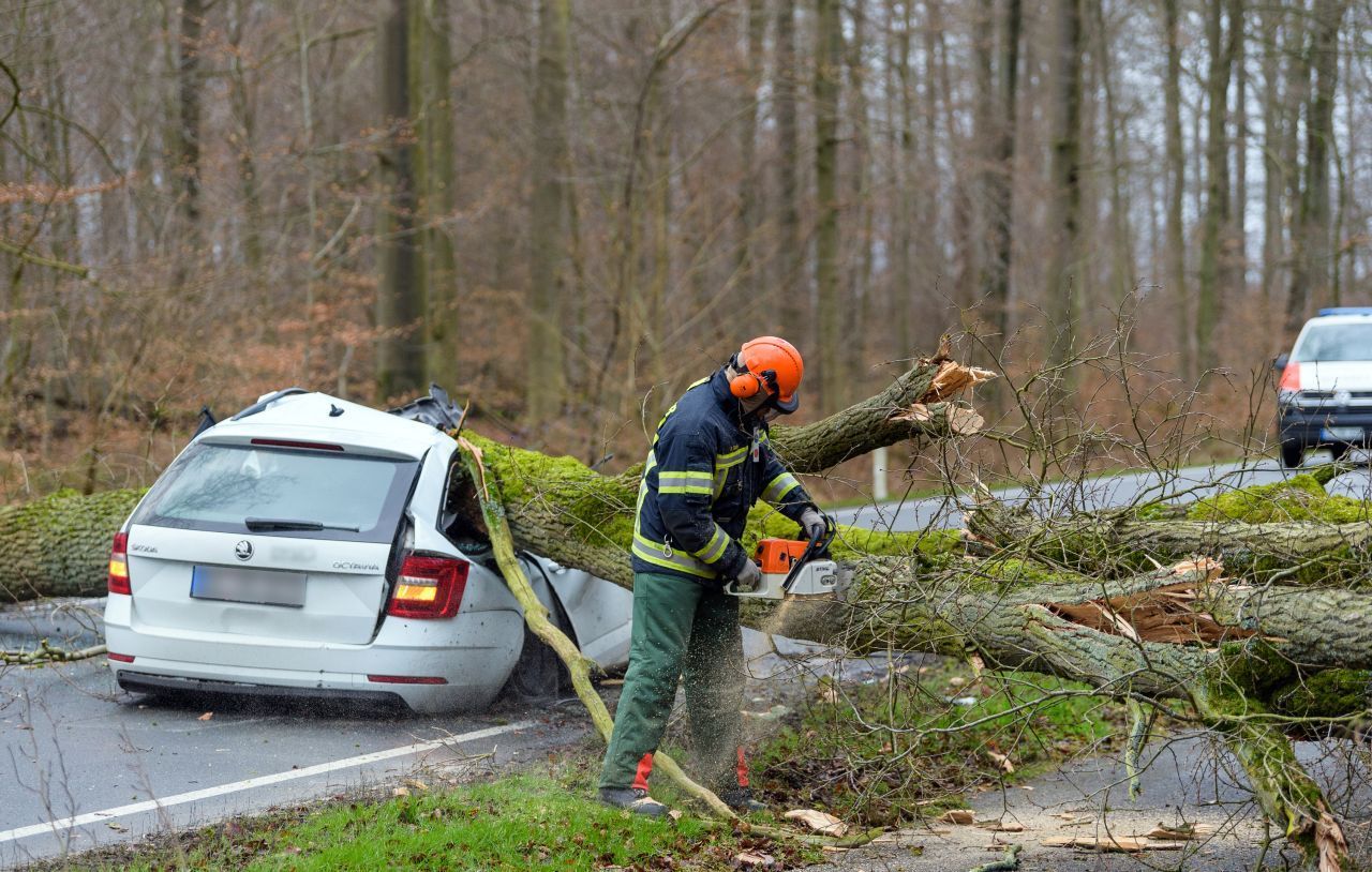 In Niedersachsenden stürzte ein Baum auf einen Pkw. Der Fahrer überlebte den Unfall nicht. Insgesamt starben mindestens 3 Menschen durch den Sturm.
