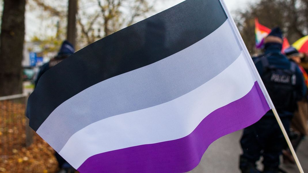 Die "Asexuelle Pride Flag"
