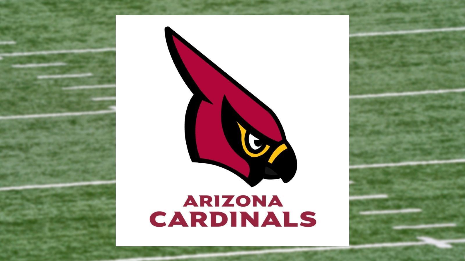 
                <strong>Arizona Cardinals</strong><br>
                Pokemon: Fiaro
              