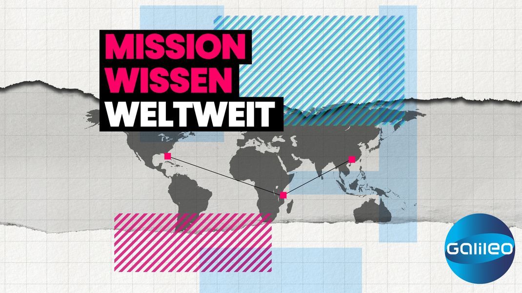 Mission Wissen Weltweit - der Podcast mit Eva, Sophie und Peter