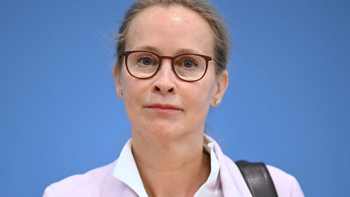 Brosius-Gersdorf