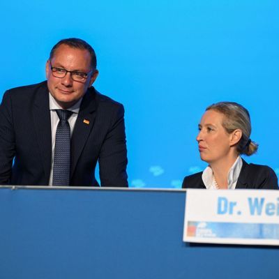 GERMANY-POLITICS/AFD