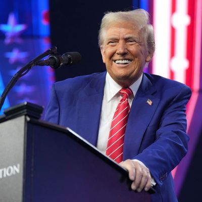 Der künftige US-Präsident Donald Trump will die Kontrolle der USA über Grönland. 