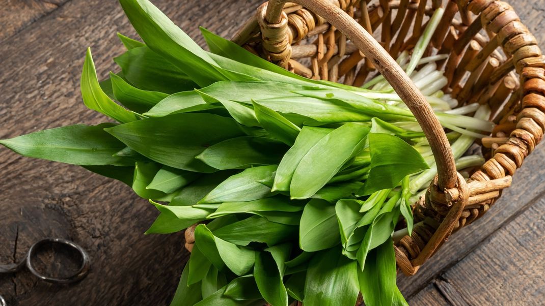 Es ist Bärlauch-Zeit! Herrlich, wenn die grünen Blätter uns in Pesto, Frischkäse oder Butter ihr Aroma schenken.