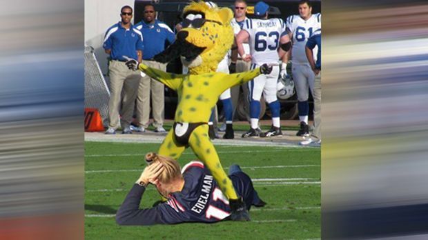 
                <strong>Icke und Maskottchen</strong><br>
                Dieses NFL-Maskottchen kommt unserem ran-Netman ziemlich nahe. Zu nahe?
              