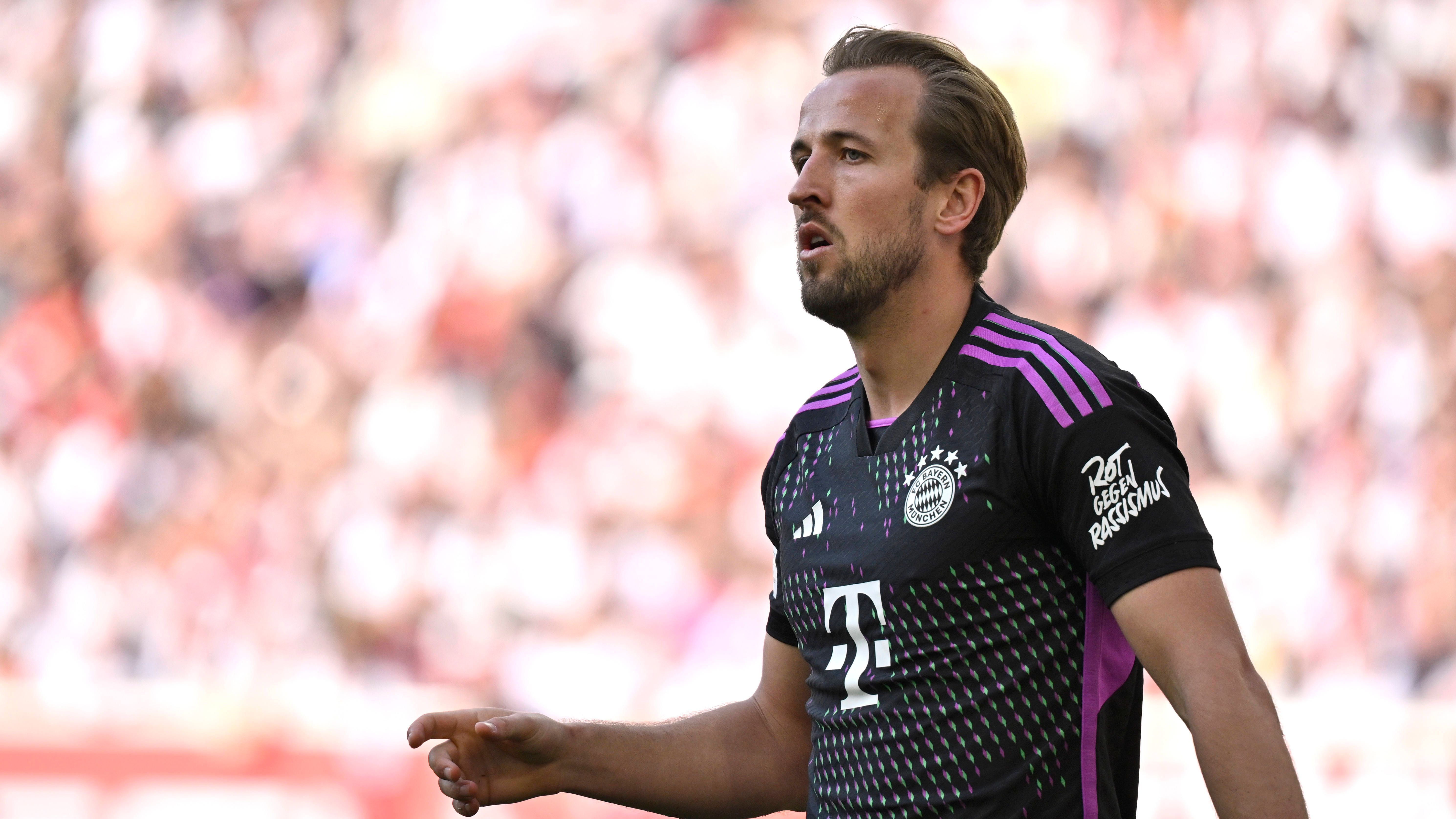 <strong>Saison 2023/24: Harry Kane</strong><br>Klub: FC Bayern München<br>Tore: 36