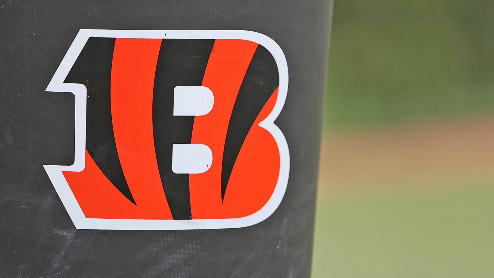 
                <strong>Cincinnati Bengals </strong><br>
                54 Bob Johnson. 
              