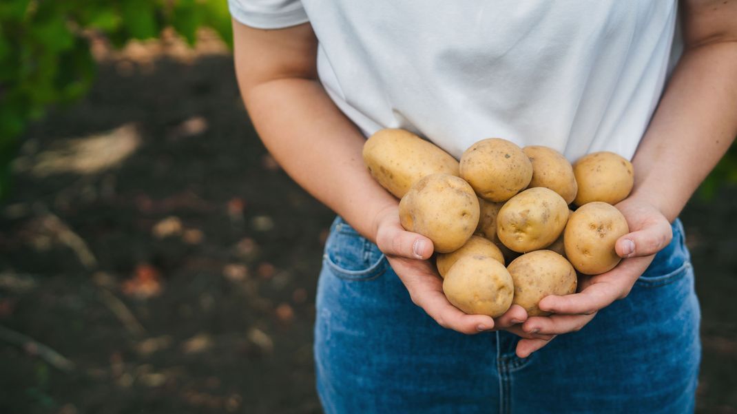 Natürlich schön! In frischen Kartoffeln stecken jede Menge pflegende Inhaltsstoffe.