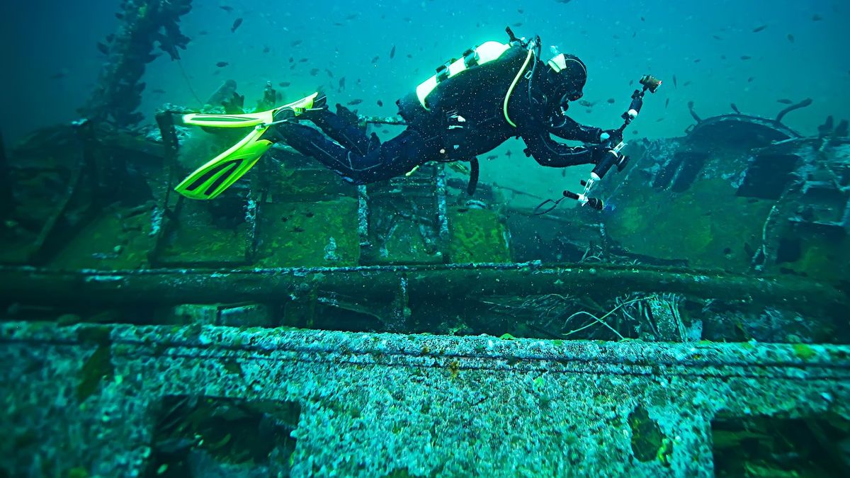 Taucher finden Champagner-Flaschen in Schiffswrack