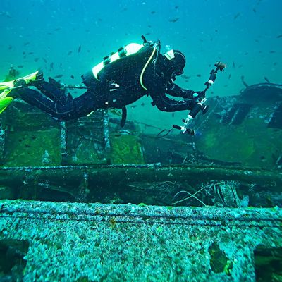 Taucher finden Champagner-Flaschen in Schiffswrack