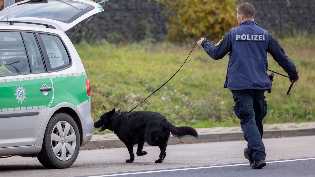 Ein Polizeihund fand die Tote in einem Waldstück (Symbolbild).