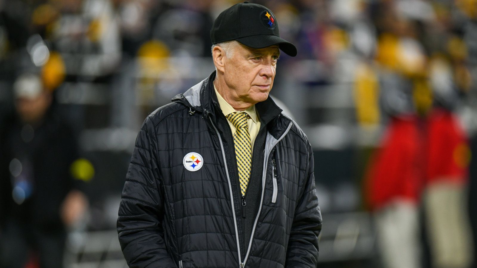 <strong>Platz 30: Art Rooney II - Pittsburgh Steelers</strong><br>
                • Reinvermögen: 1,2 Milliarden US-Dollar* (unverändert, -1 Platz)<br>*Familienvermögen, letzte Angabe aus 2015