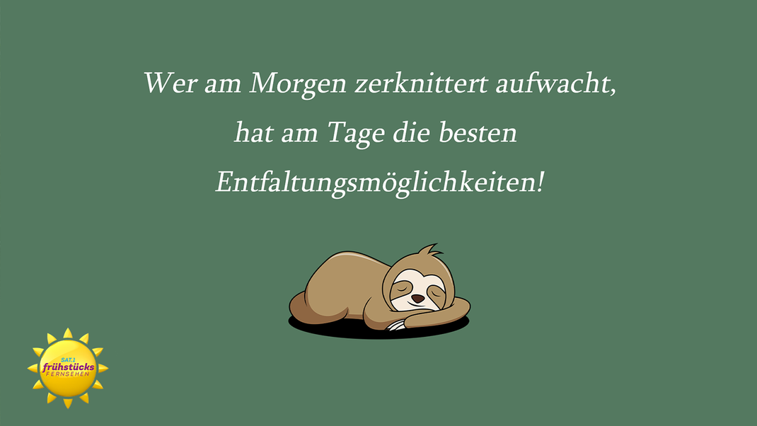 10 WhatsAppSprüche für einen wundervollen Start in den Tag