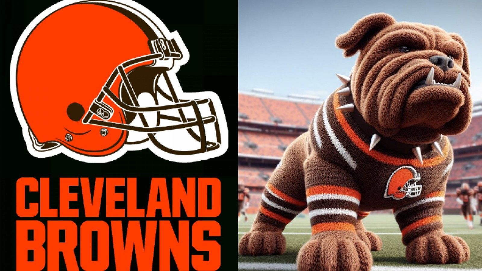 <strong>Cleveland Browns</strong>