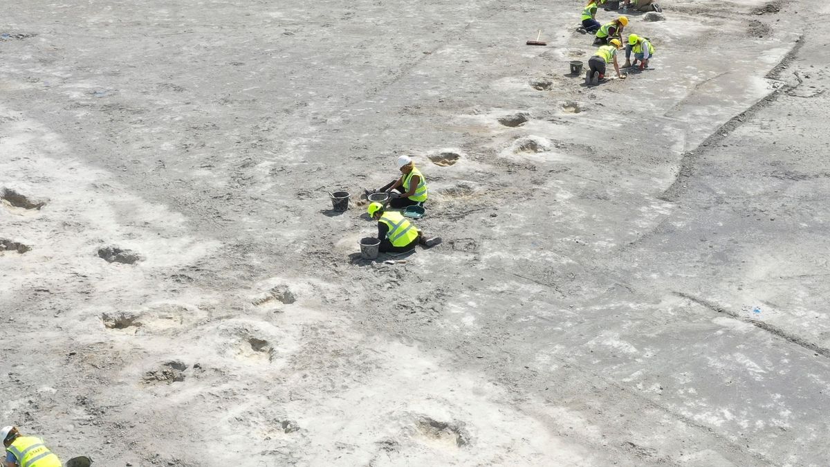 Forscher finden Dinosaurier-Fußspuren in England