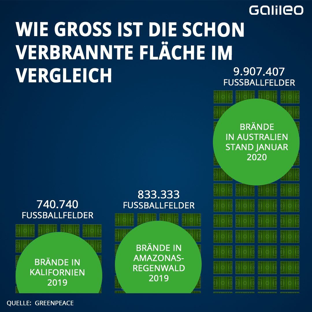 Die verbrannte Fläche ist groß. Es sind sehr viele Fußballfelder im Vergleich.