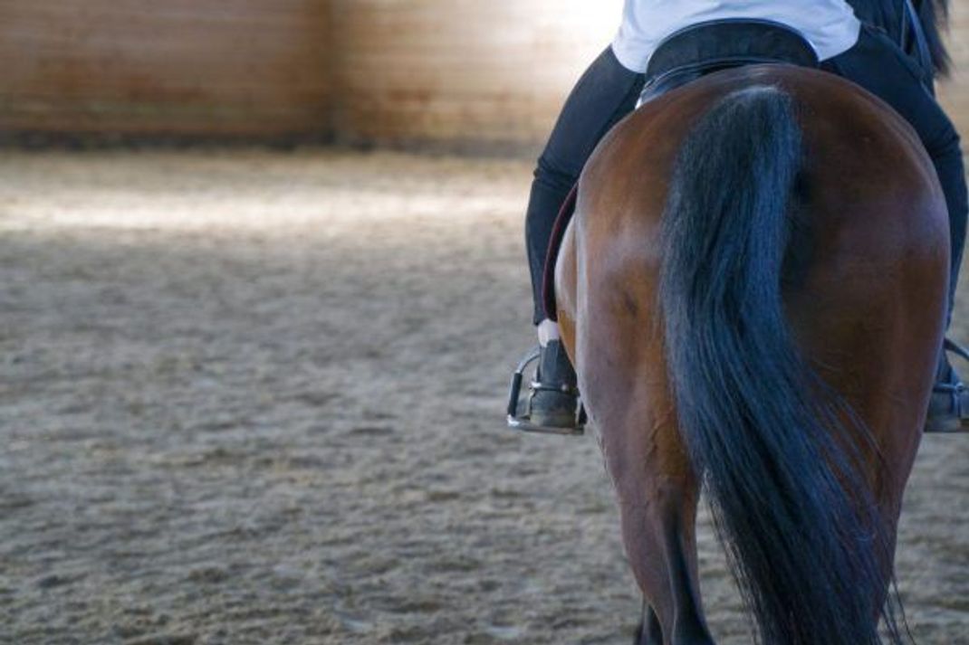 Reiter:innen müssen oft erst lernen, mit dem Oppositions-Reflex ihres Pferdes umzugehen.